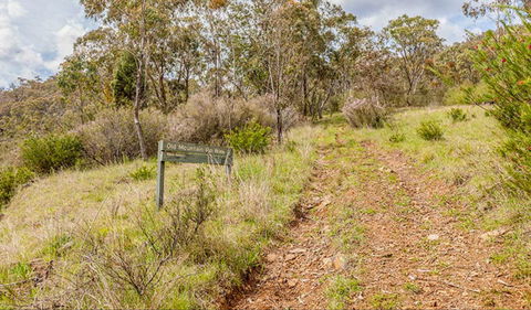 Old Mountain Road Walking Track - Accommodation Daintree 0