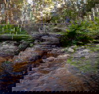 O'Neills Creek picnic reserve - Accommodation Daintree