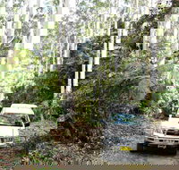 Orara Escarpment 4WD Touring Route - Accommodation Daintree
