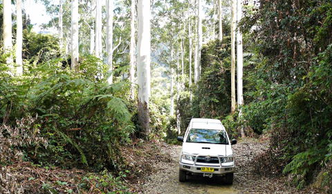 Orara Escarpment 4WD Touring Route - Accommodation Daintree 0