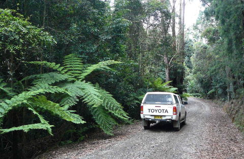 Orara Escarpment 4WD Touring Route - Accommodation Daintree 1