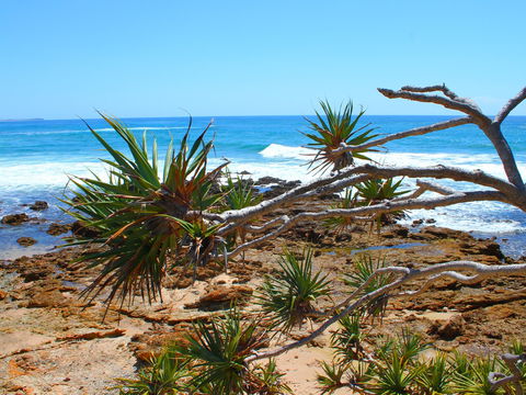 Rocky Point - Accommodation Daintree 1