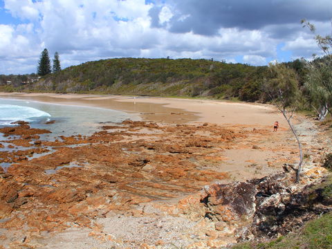 Rocky Point - Accommodation Daintree 2