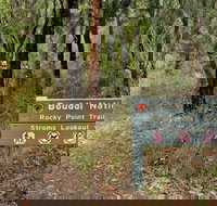 Rocky Point Trail - Accommodation Daintree