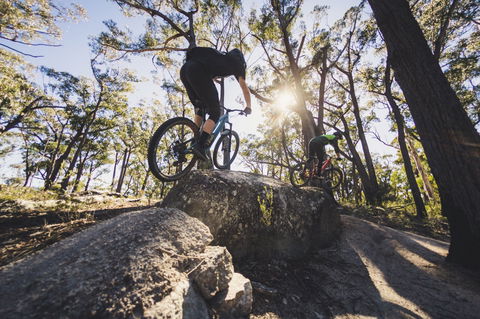 St Helens Mountain Bike Trails - Accommodation Daintree 1