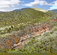 Sundown National Park - Accommodation Daintree