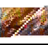 Tantanoola Caves - Accommodation Daintree