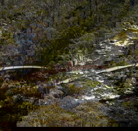Thredbo Valley Track - Accommodation Daintree