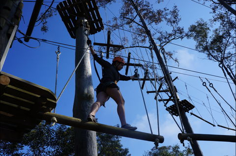 Trees Adventure Nowra Park - Accommodation Daintree 0