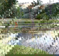 Tumut Wetlands - Accommodation Daintree