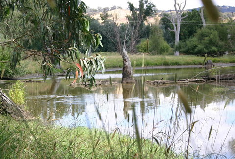 Tumut Wetlands - Accommodation Daintree 0