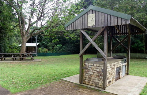 Victoria Park Boardwalk - Accommodation Daintree 0