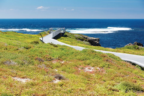 West End - Accommodation Daintree 0