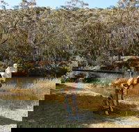 Wild Valley Art Park - Accommodation Daintree