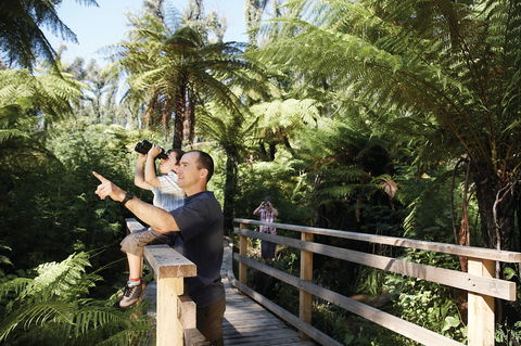 Yarra Ranges National Park - Accommodation Daintree 1