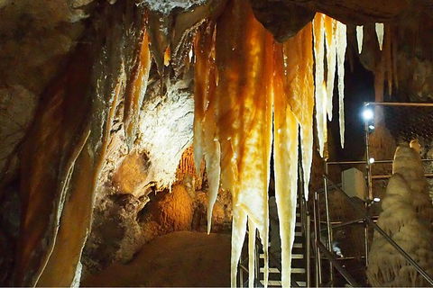 Jenolan Caves: Orient Cave Tour - Accommodation Daintree 3