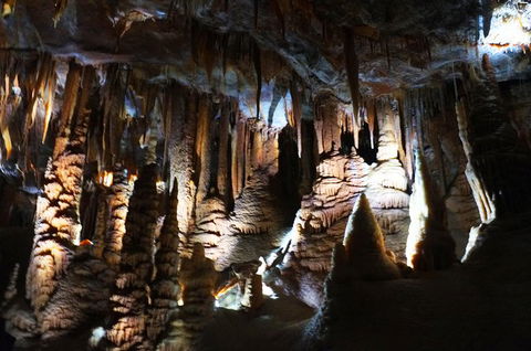 Jenolan Caves: Orient Cave Tour - Accommodation Daintree 2
