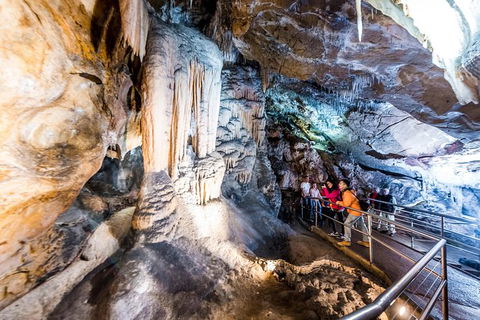 Jenolan Caves: Chifley Cave Tour - Accommodation Daintree 0