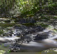 Protesters Falls Walking Track - Accommodation Daintree