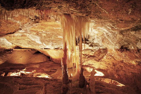 Jenolan Caves: Ribbon Cave Tour - Accommodation Daintree 0