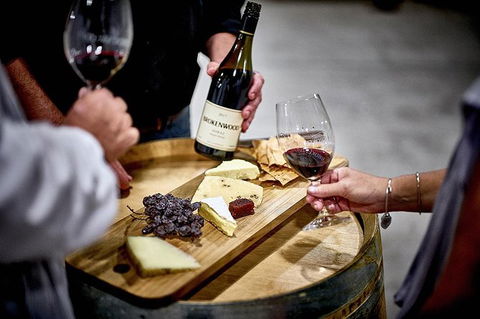 VIP Soil-To-Cellar Experience - Accommodation Daintree 1