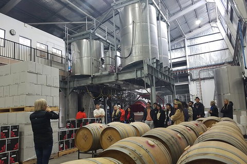 Hunter Valley Small Group Wine, Gin, Cheese & Chocolate Tour - Accommodation Daintree 6