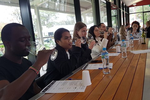 Hunter Valley Small Group Wine, Gin, Cheese & Chocolate Tour - Accommodation Daintree 3