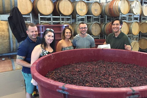 Hunter Valley Small Group Wine, Gin, Cheese & Chocolate Tour - Accommodation Daintree 0