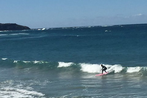 Red Dog Surf - Professional Surf Lessons - Accommodation Daintree 1