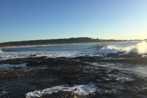 Red Dog Surf - Professional Surf Lessons - Accommodation Daintree 2