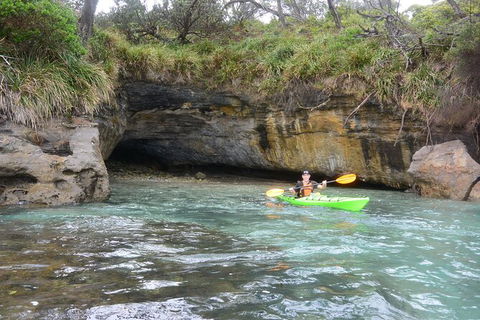 Half-Day Jervis Bay Sea Kayak Tour - Accommodation Daintree 8