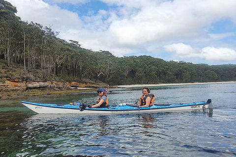 Half-Day Jervis Bay Sea Kayak Tour - Accommodation Daintree 6