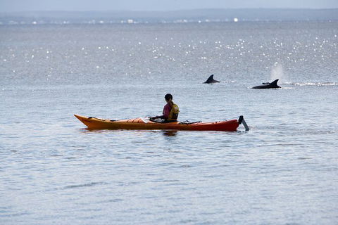 Half-Day Jervis Bay Sea Kayak Tour - Accommodation Daintree 4