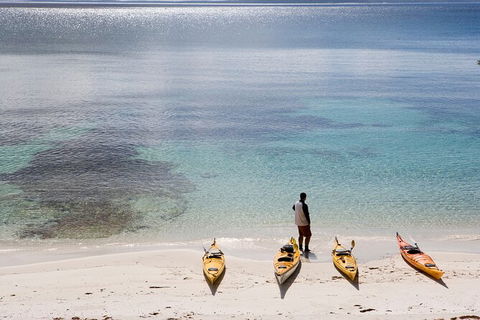 Half-Day Jervis Bay Sea Kayak Tour - Accommodation Daintree 2