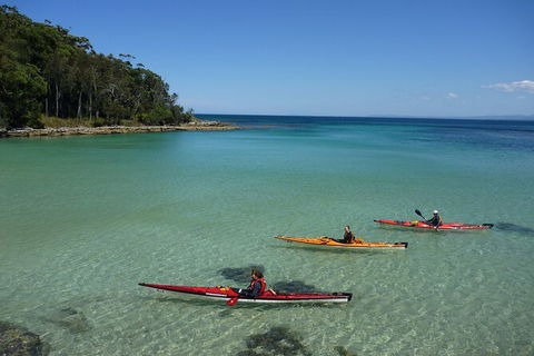 Half-Day Jervis Bay Sea Kayak Tour - Accommodation Daintree 3