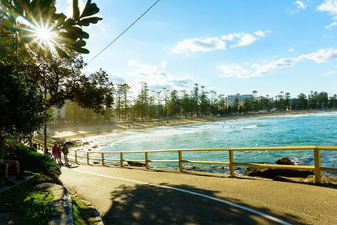 Sydney With Bondi And Beaches Essentials Private Day Tour - Accommodation Daintree 8