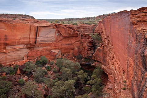 Uluru, Kata Tjuta And Kings Canyon Camping Safari From Alice Springs - Accommodation Daintree 4