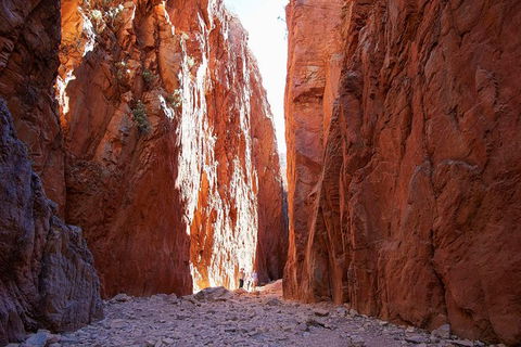 Best Of Alice Springs Full Day Tour - Accommodation Daintree 6