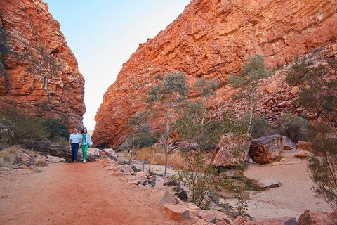 Best Of Alice Springs Full Day Tour - Accommodation Daintree 2