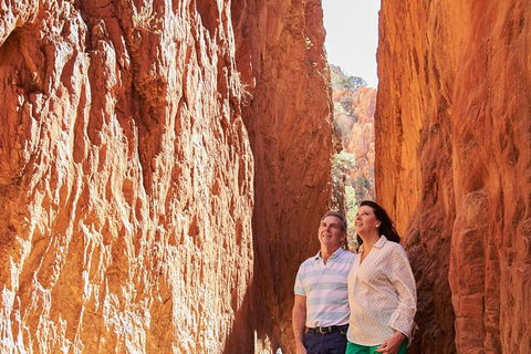 Best Of Alice Springs Full Day Tour - Accommodation Daintree 4