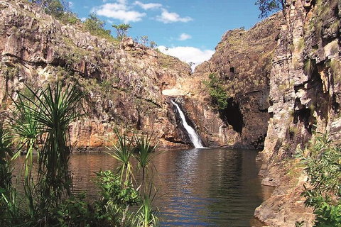 Kakadu, Katherine & Litchfield Adventure - Accommodation Daintree 1