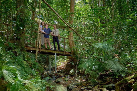 Daintree And Cape Tribulation Tour From Cairns - Accommodation Daintree 3