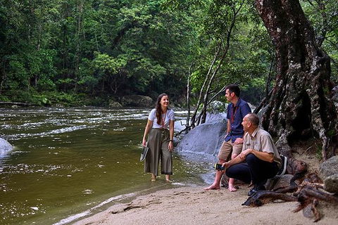 Daintree And Cape Tribulation Tour From Cairns - Accommodation Daintree 2