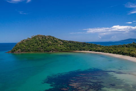 Daintree And Cape Tribulation Tour From Cairns - Accommodation Daintree 7