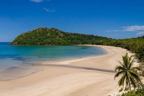 Daintree And Cape Tribulation Tour From Cairns - Accommodation Daintree 8