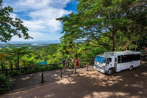 Daintree And Cape Tribulation Tour From Cairns - Accommodation Daintree 5