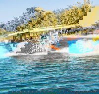 Gold Coast Quack'rDuck Amphibious Tour from Surfers Paradise - Accommodation Daintree