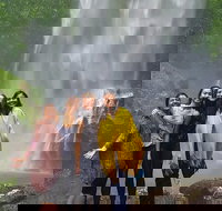 Small Group Tour Max 6 Gold Coast Super 7 Waterfalls Tour Springbrook - Accommodation Daintree