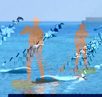 Stand Up Paddle Board Hire - Accommodation Daintree