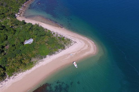 Fozzy\'s 3 Hour, 3 Island Tour - Accommodation Daintree 1